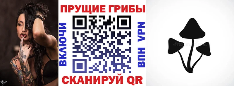 даркнет сайт Кемерово Галлюциногенные грибы мухоморы